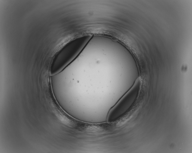 X0000094360397200711301430