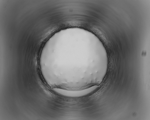 X0000094360398200711301430