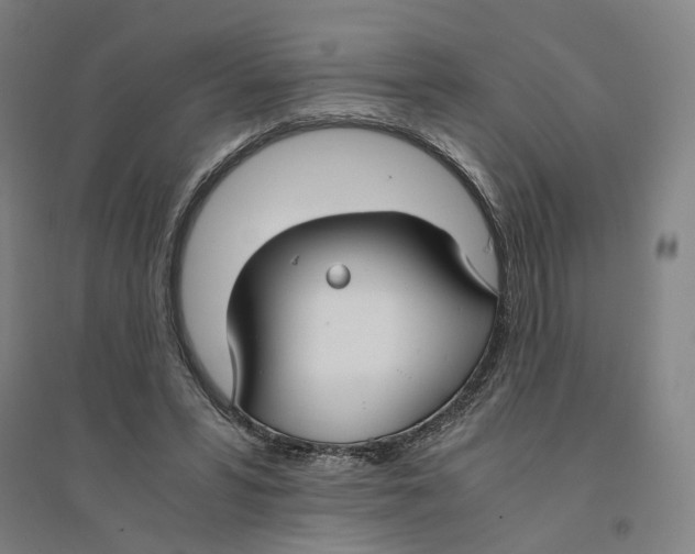 X0000094360399200711301430