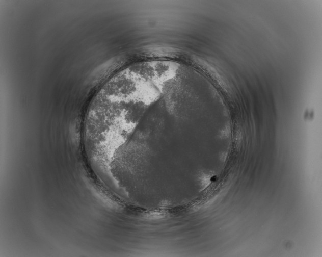 X0000094360402200711301429