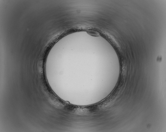 X0000094360403200711301429