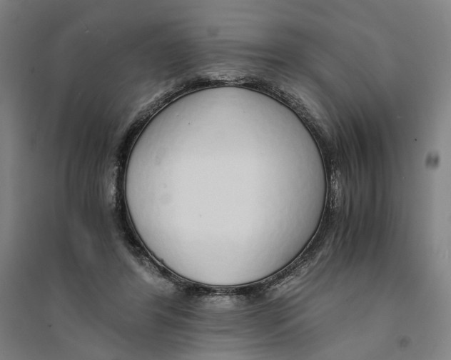X0000094360404200711301429