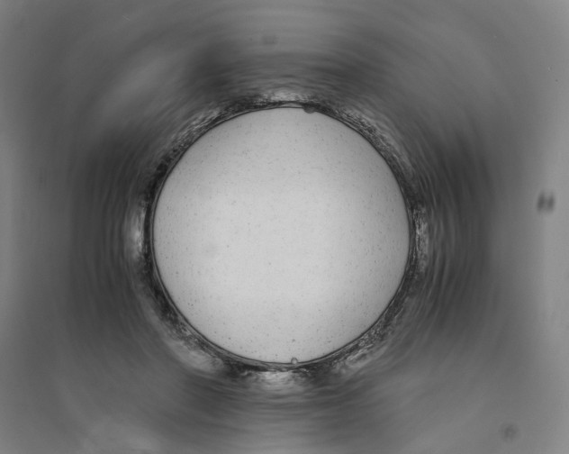 X0000094360406200711301429
