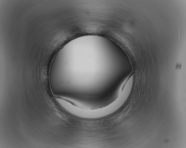 X0000094360407200711301429
