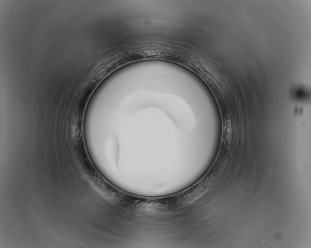 X0000094360408200711301429