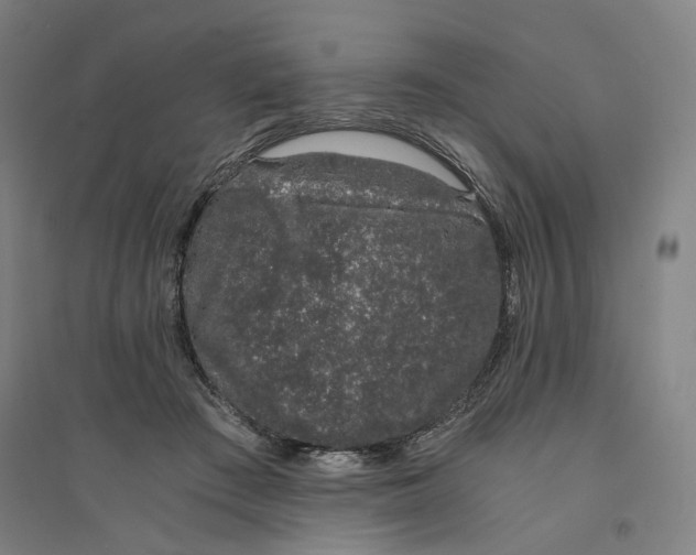 X0000094360409200711301429