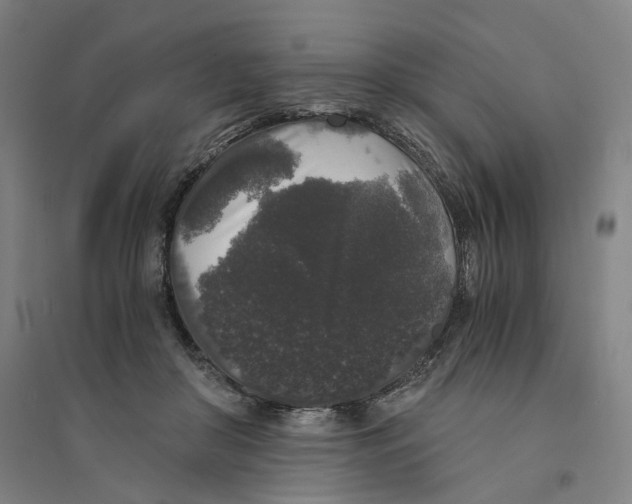 X0000094360410200711301429