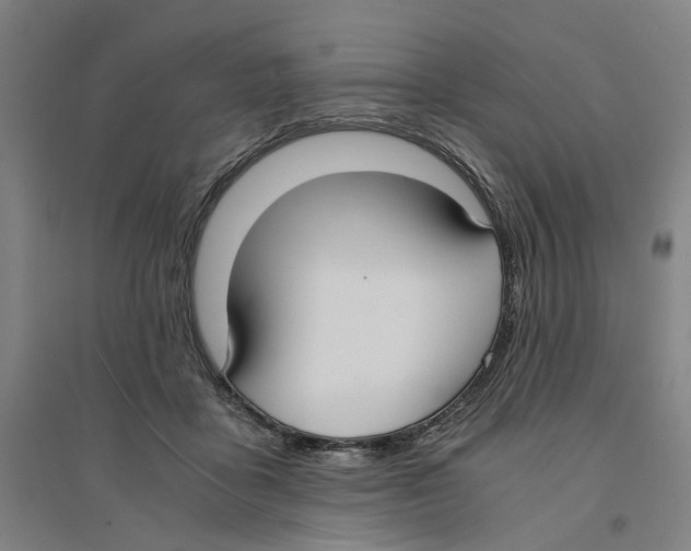 X0000094360411200711301429