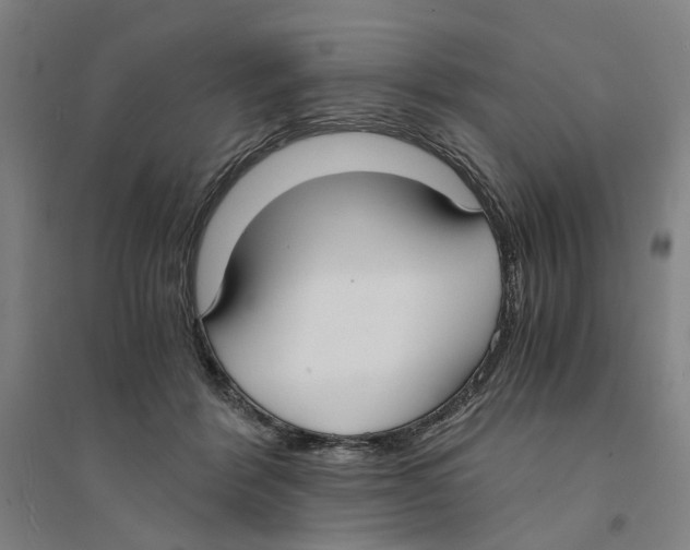 X0000094360412200711301429
