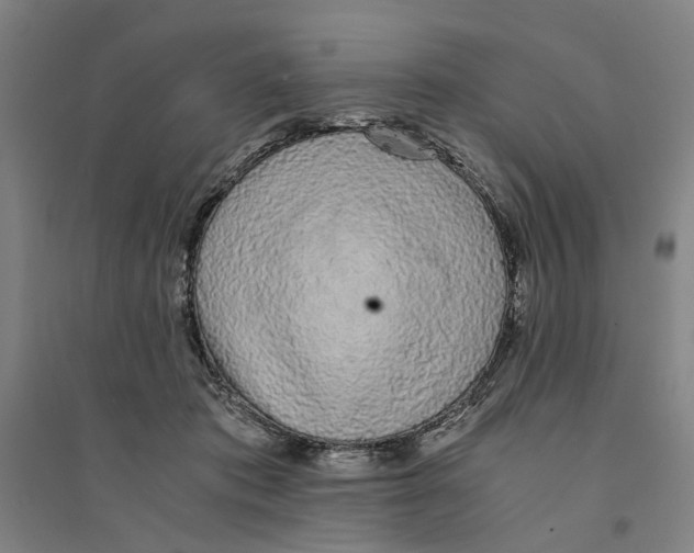 X0000094360413200711301429