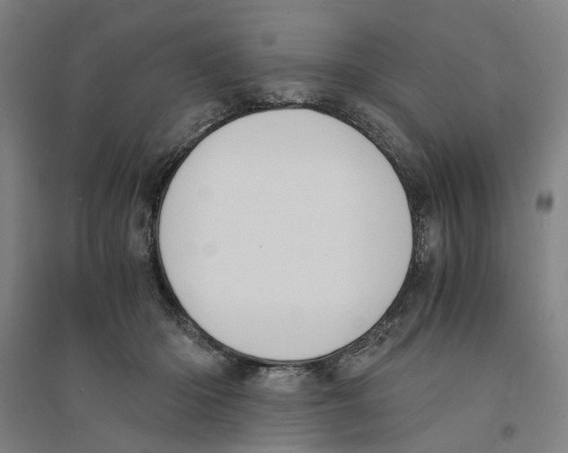X0000094360414200711301429