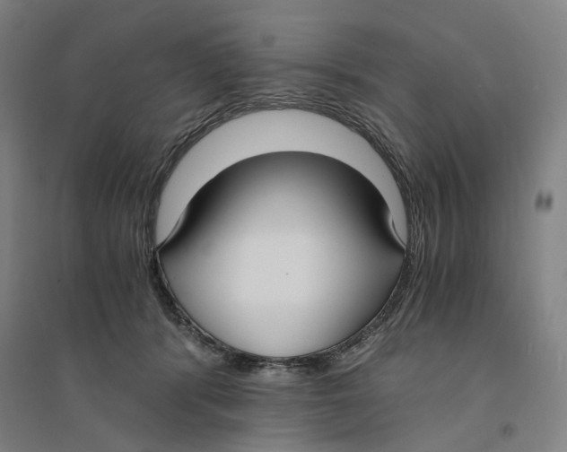 X0000094360416200711301429