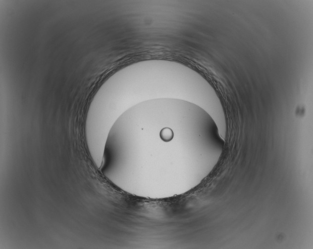 X0000094360417200711301429