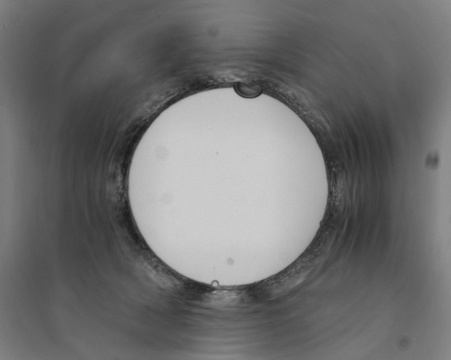 X0000094360418200711301429