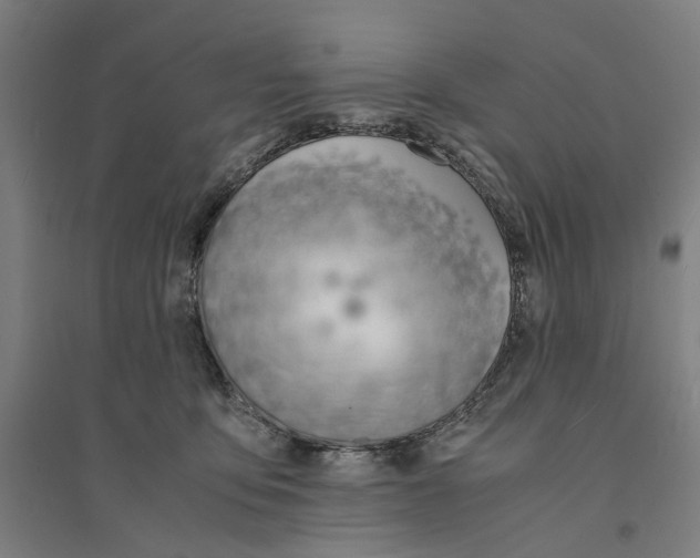 X0000094360419200711301429