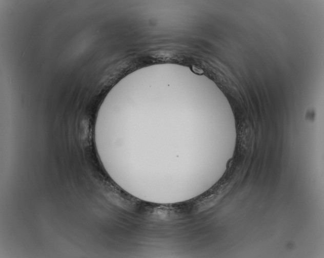 X0000094360420200711301429