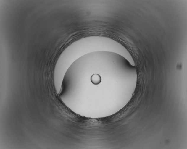 X0000094360421200711301429