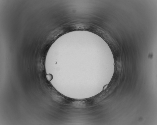 X0000094360422200711301429