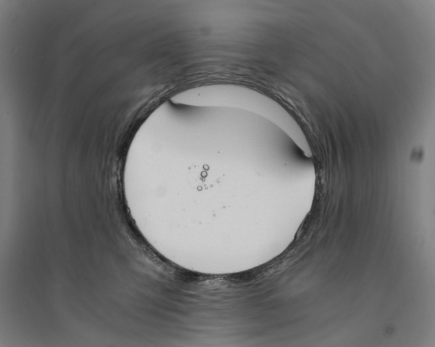 X0000094360423200711301429