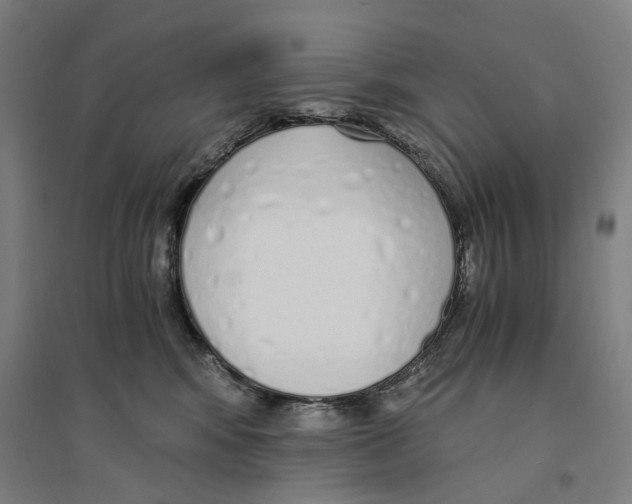 X0000094360424200711301429