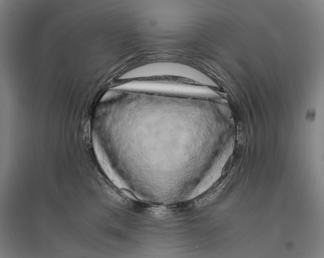 X0000094360425200711301429
