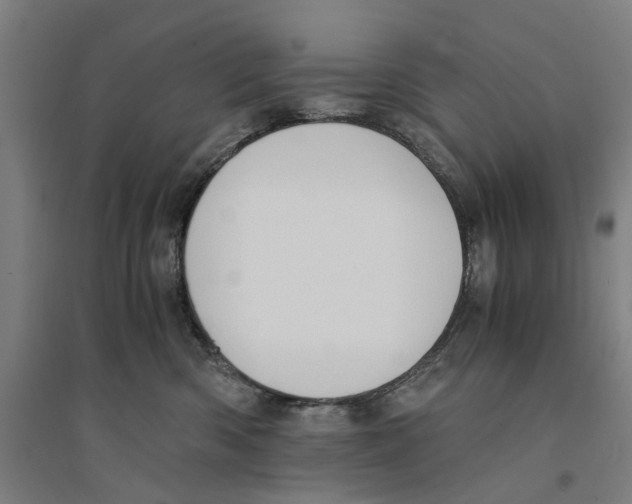X0000094360426200711301429