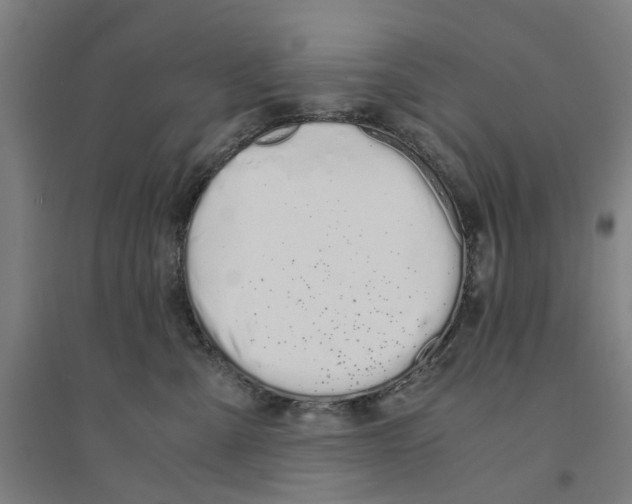 X0000094360427200711301429