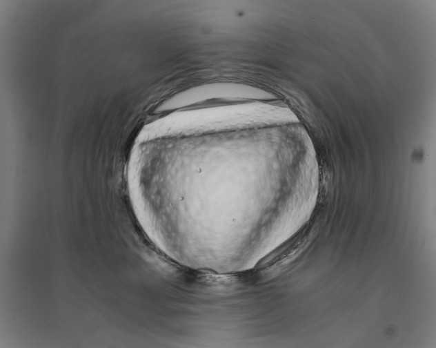 X0000094360429200711301429