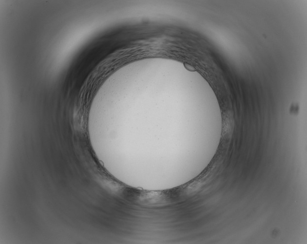 X0000094360431200711301429