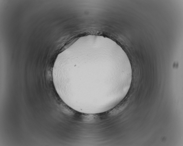 X0000094360432200711301429