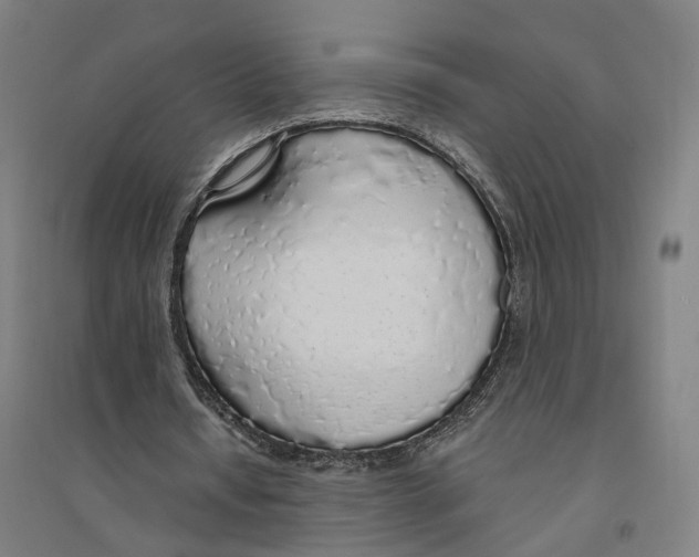 X0000094360434200711301428