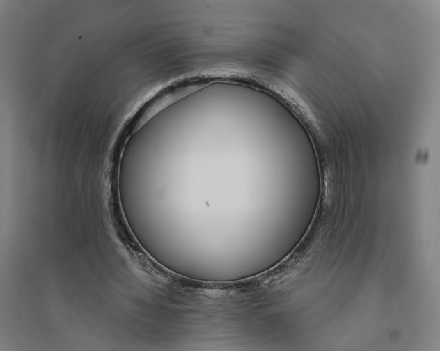 X0000094360436200711301428