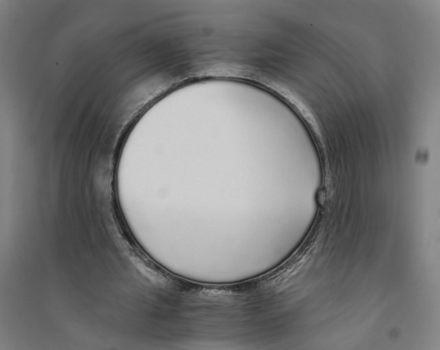 X0000094360437200711301428