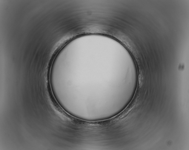 X0000094360438200711301428