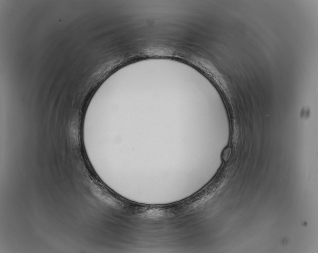 X0000094360441200711301429