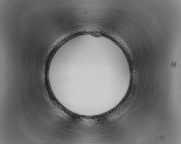 X0000094360442200711301429