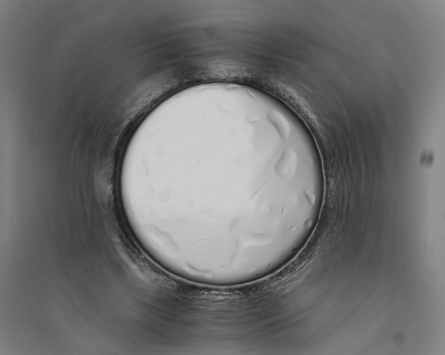 X0000094360443200711301429