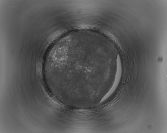 X0000094360444200711301429
