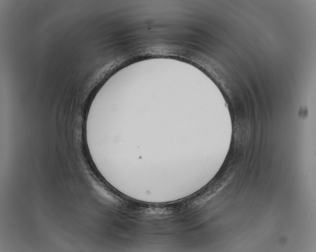 X0000094360445200711301429