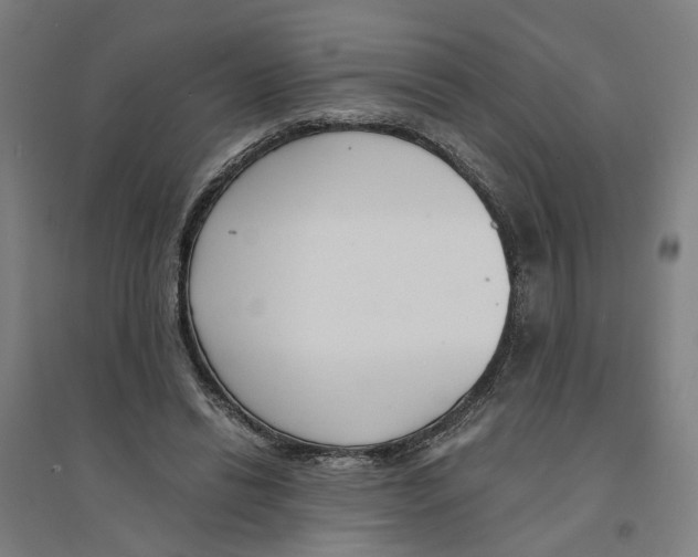 X0000094360446200711301429