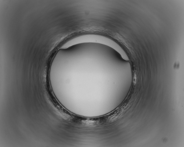 X0000094360448200711301429