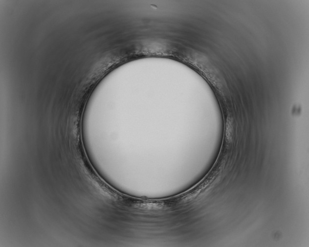 X0000094360449200711301429