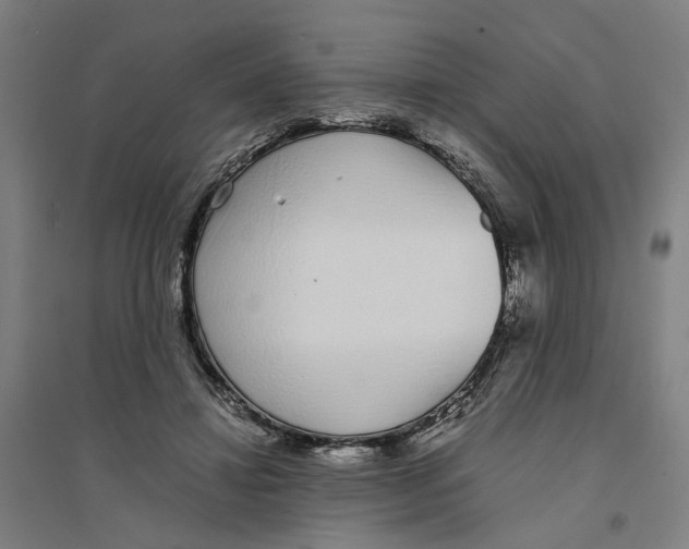 X0000094360452200711301429