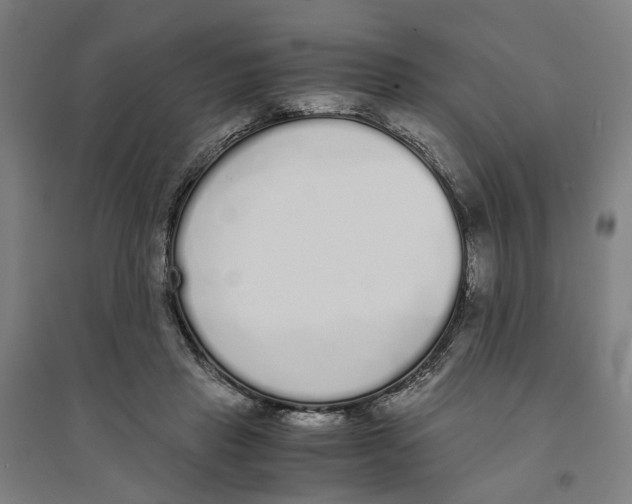 X0000094360453200711301429