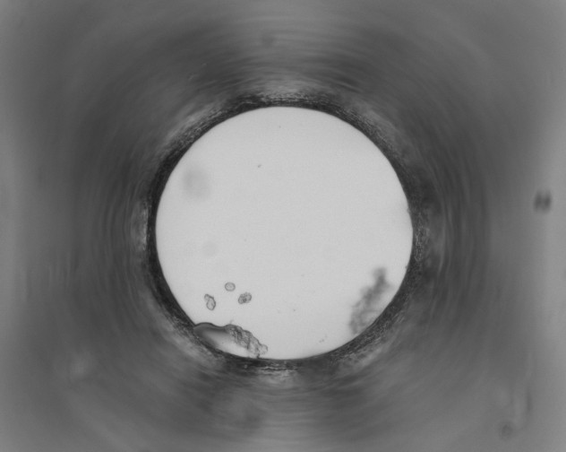 X0000094360454200711301429