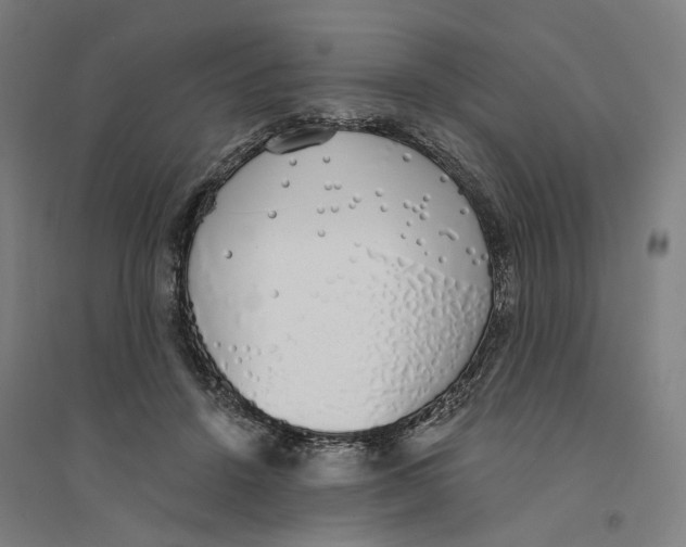 X0000094360456200711301429