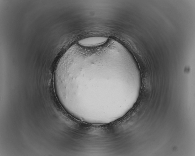X0000094360458200711301429