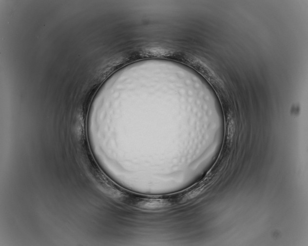 X0000094360459200711301429