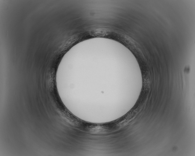 X0000094360460200711301429