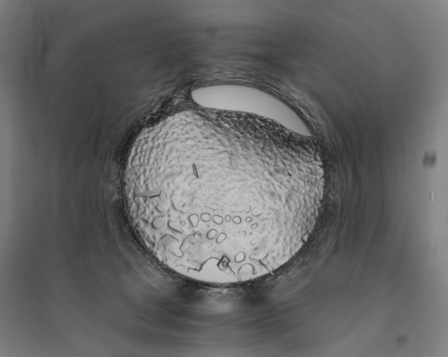 X0000094360465200711301429